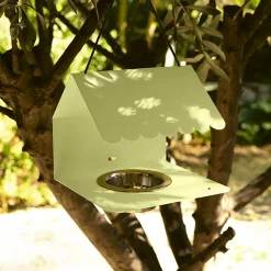 Picoti mangeoire à oiseaux