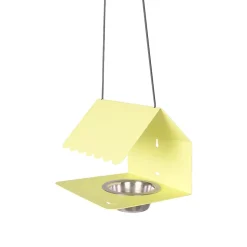 Picoti mangeoire à oiseaux