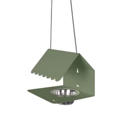 Picoti mangeoire à oiseaux