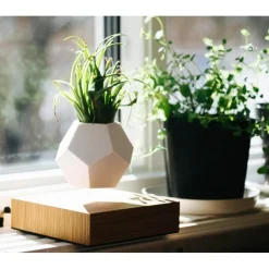 Pot de fleurs en lévitation Lyfe (Outlet)