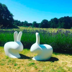 Rabbit chair