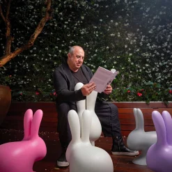 Rabbit chair