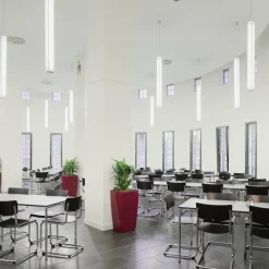 S 43 Chaise en porte-à-faux