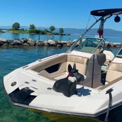 Scottie - Lampe sans fil