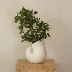 Shell Vase