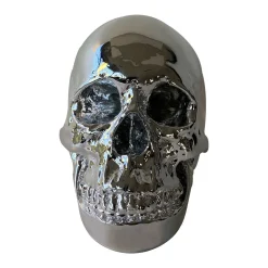 Skull Design