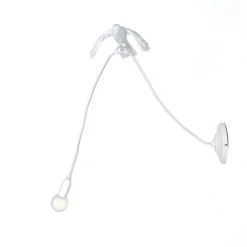 Sparrow Taking Off Applique