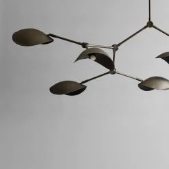 Stingray Chandelier