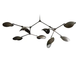 Stingray Chandelier