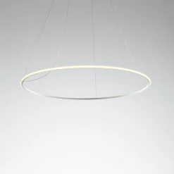 Suspension F45 Olympic