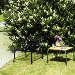 Table basse Vig Robinia