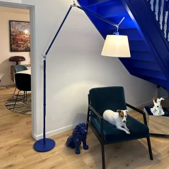 Tolomeo mega bleu - édition Voltex