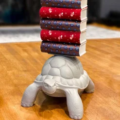 Turtle Carry Bookcase
