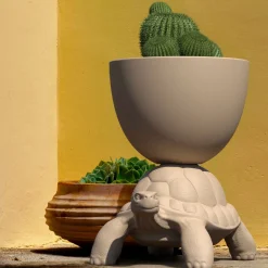 Turtle Carry Planter and Champagne Cooler