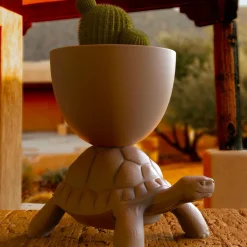 Turtle Carry Planter and Champagne Cooler