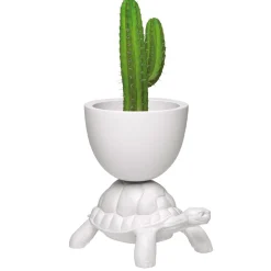 Turtle Carry Planter and Champagne Cooler