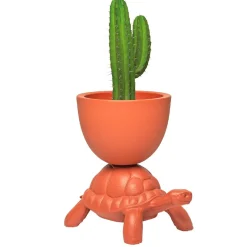 Turtle Carry Planter and Champagne Cooler