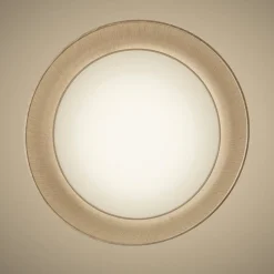 Twiggy Wood Suspension