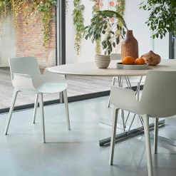 Viscount of wood - rond